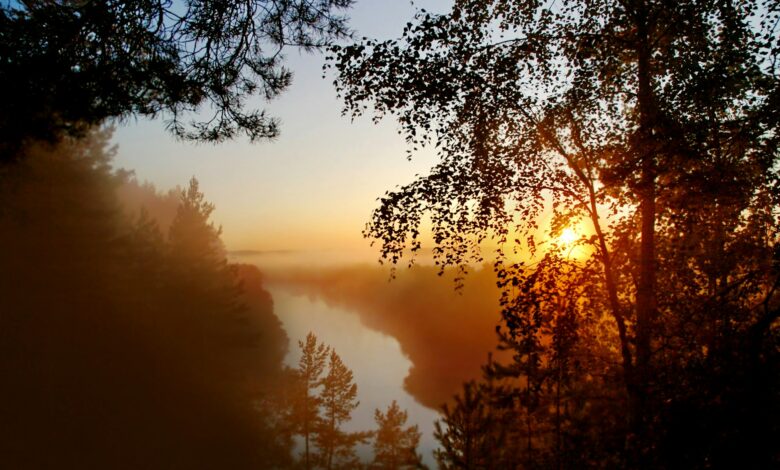 Beautiful sunrise