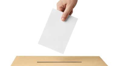 ballot box casting vote election referendum politics elect man female democracy hand voter political