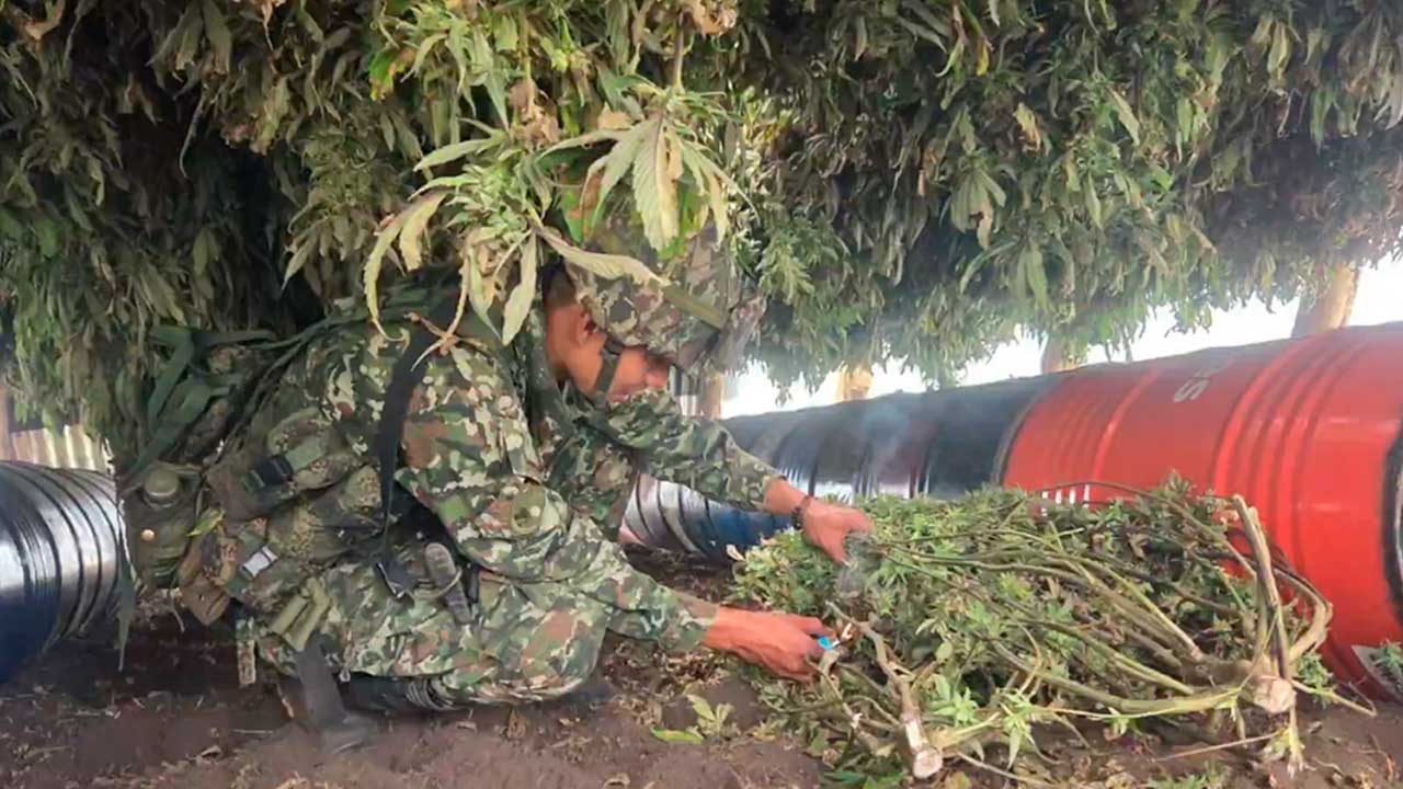 Cae tonelada de marihuana rumbo a Ecuador